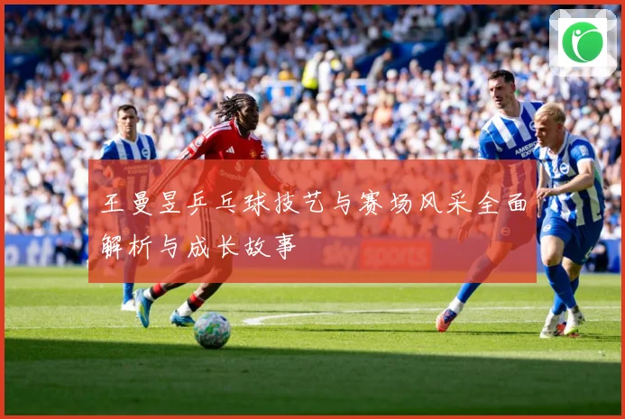 王曼昱乒乓球技艺与赛场风采全面解析与成长故事