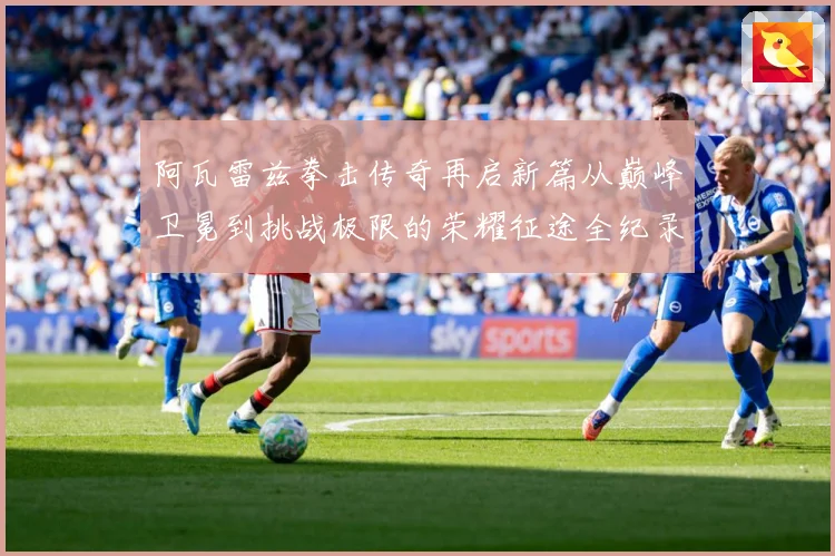 阿瓦雷兹拳击传奇再启新篇从巅峰卫冕到挑战极限的荣耀征途全纪录