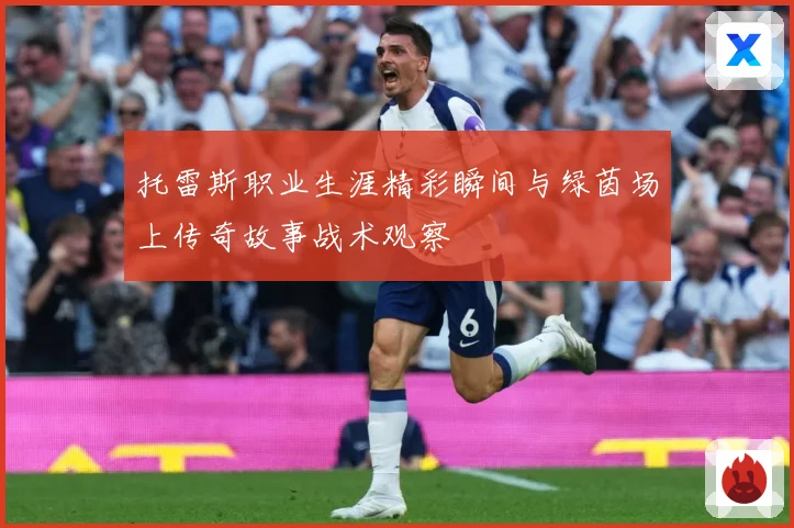 托雷斯职业生涯精彩瞬间与绿茵场上传奇故事战术观察