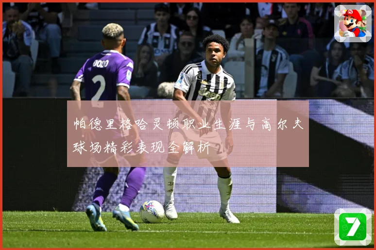 帕德里格哈灵顿职业生涯与高尔夫球场精彩表现全解析