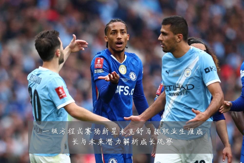 一级方程式赛场新星米克舒马赫职业生涯成长与未来潜力解析成长观察