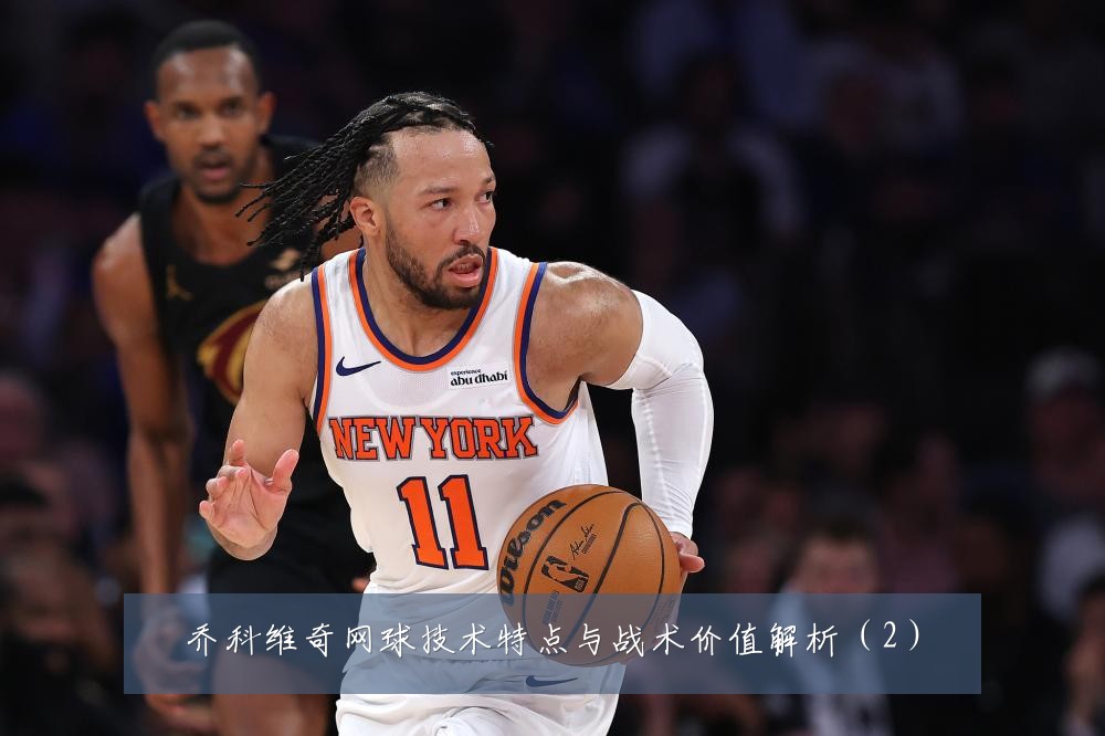 乔科维奇网球技术特点与战术价值解析(2)